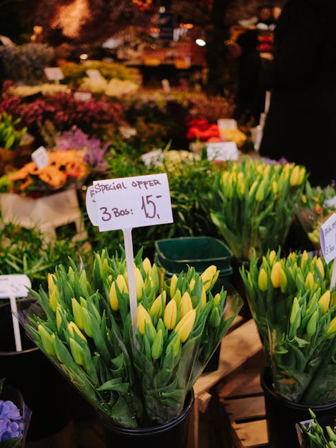 A display of fresh yellow tulips arranged in clear plastic wrapping and placed in black buckets at a flower market. The tulips are vibrant with closed buds and long green stems, arranged in neat, upri