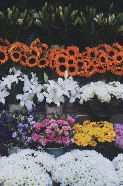 https://flowerdeliverymayfair.co.uk/blog/mayfair-florists-and-licensing-rules-trader-compliance/