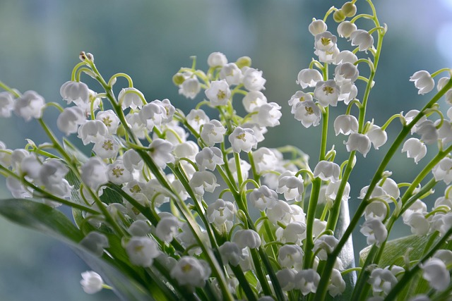 https://flowerdeliverymayfair.co.uk/blog/mount-street-florists-discover-mayfairs-top-bouquet-shops/