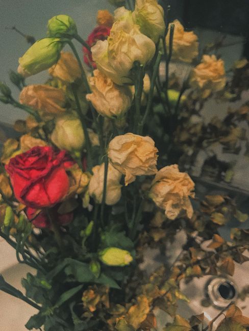 A bouquet of wilted flowers featuring cream and red blooms, with some dusty and shriveled petals, arranged with green stems in a casual, unstructured style. The flowers are placed on a surface indoors