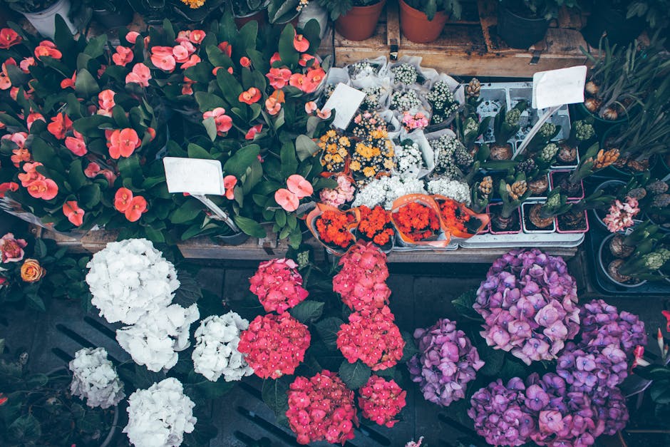 A diverse selection of fresh flowering plants and floral arrangements displayed on outdoor tables, featuring vibrant pinks, purples, whites, and reds. The flowers include hydrangeas, begonias, and sma